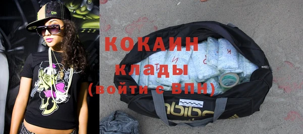 индика Балабаново