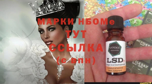 индика Балабаново