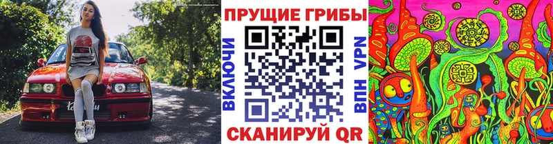 наркошоп Кондрово Галлюциногенные грибы Cubensis